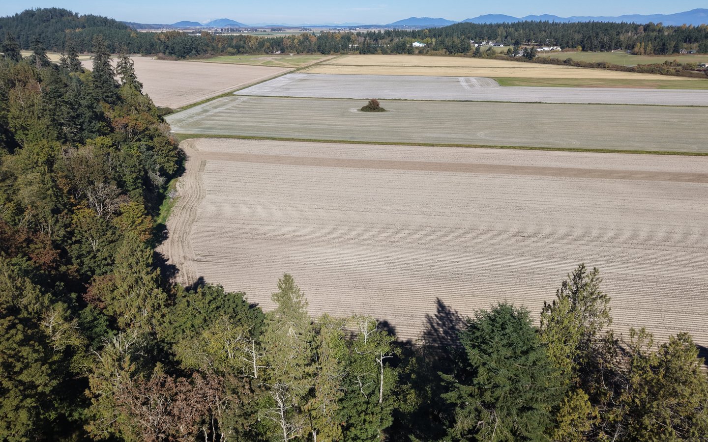 Haller Farms photo 5