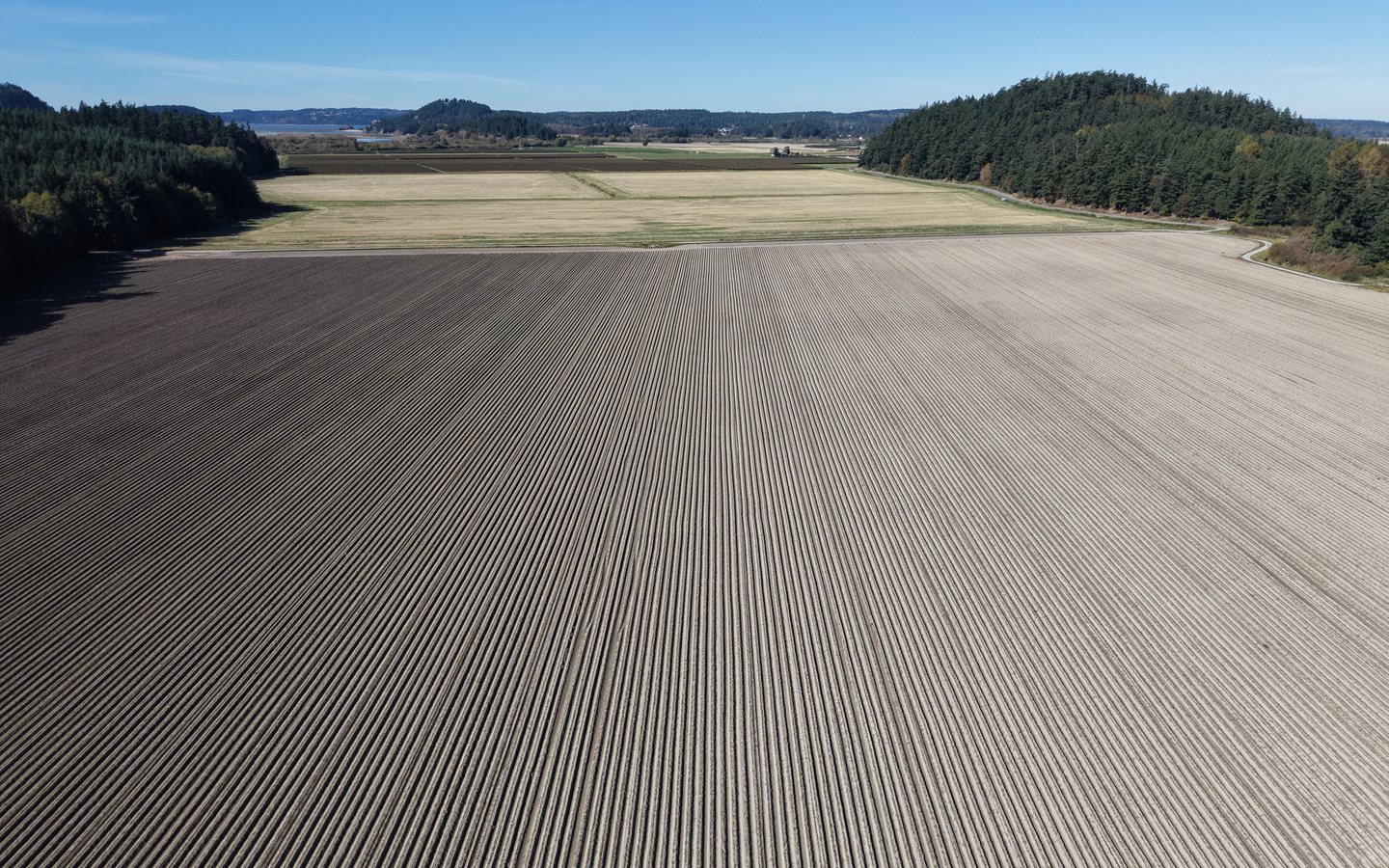 Haller Farms photo 6