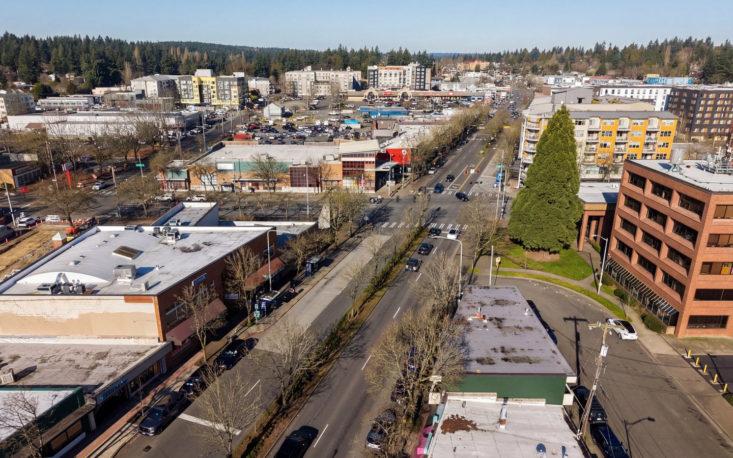 Lake City Square photo 7