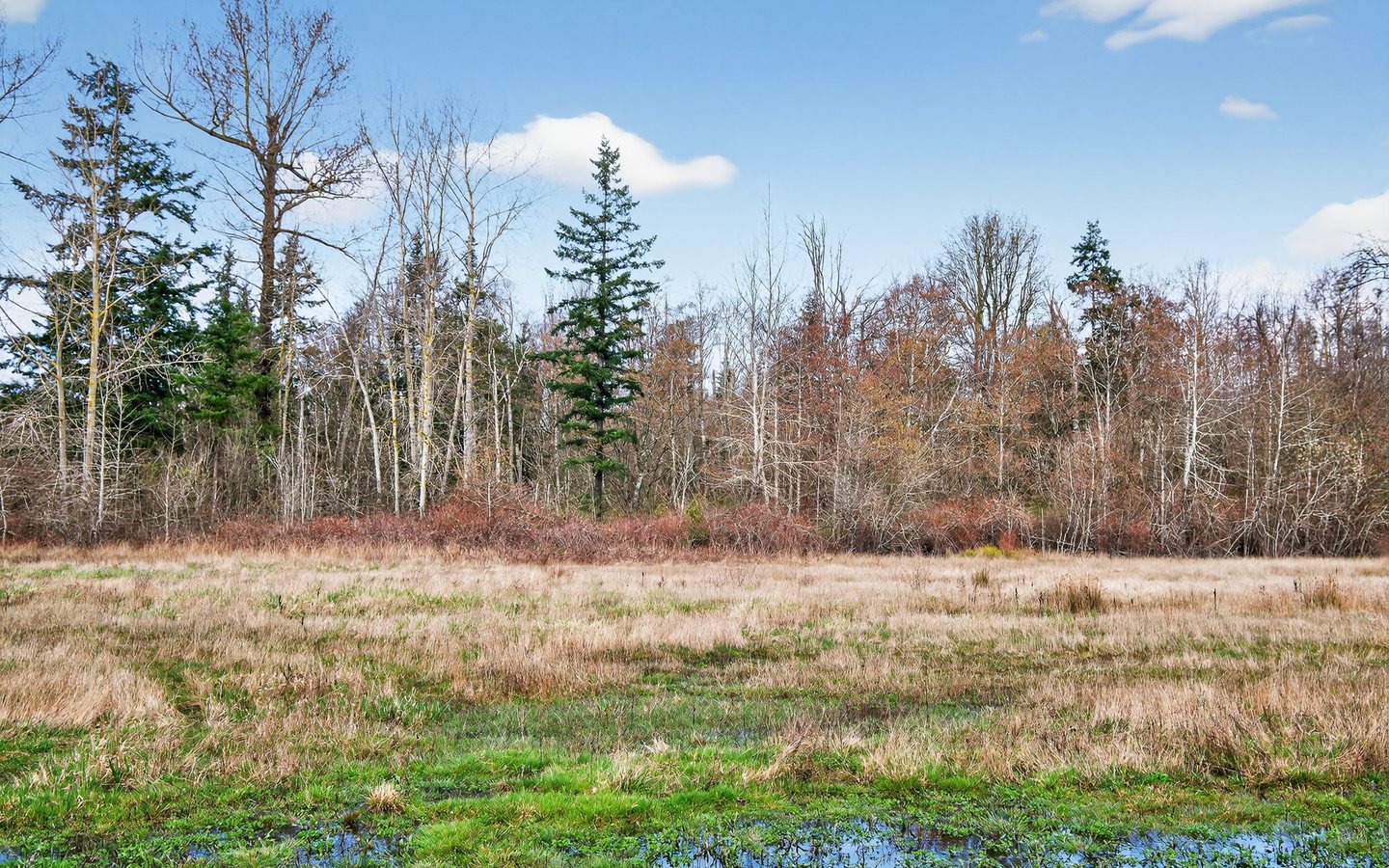 Bellingham Industrial & Excess Land photo 8