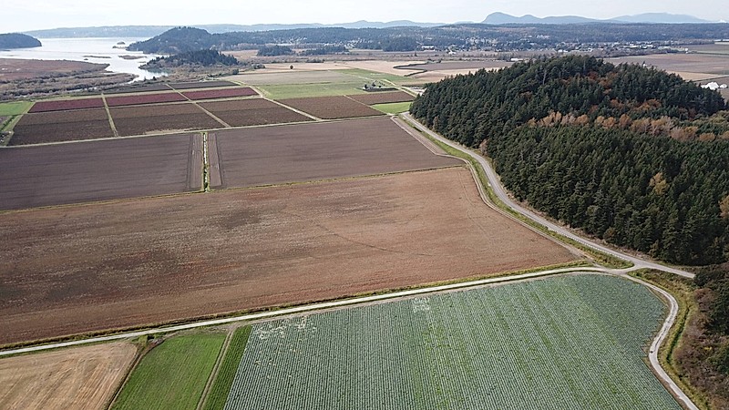 Haller Farms